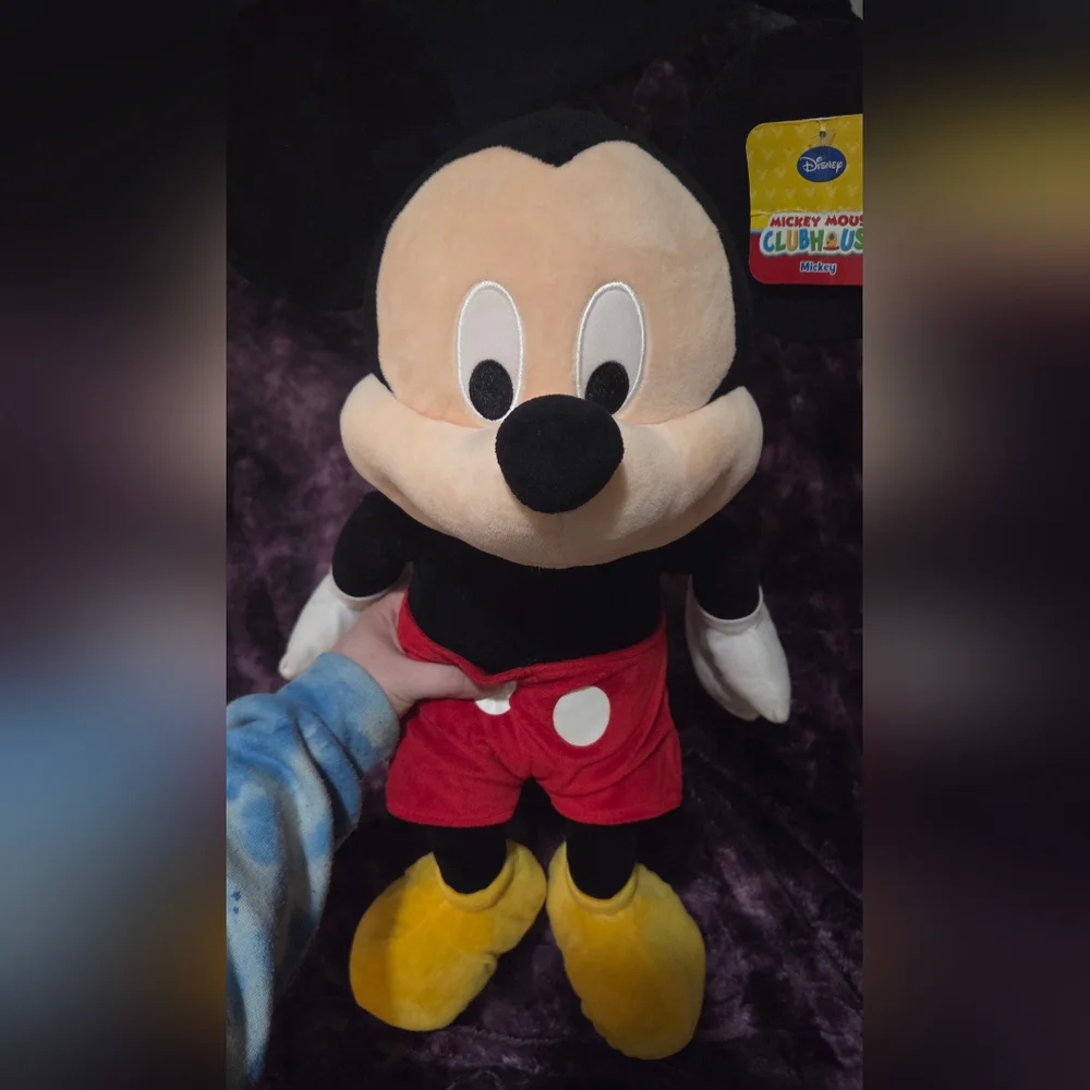 Disney Mickey Mouse Clubhouse Large 25